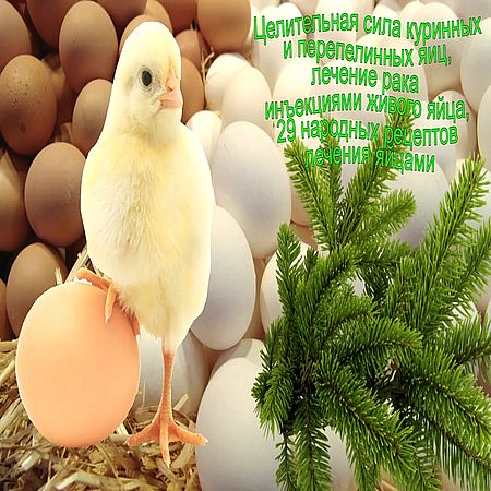 Целительная сила куринных и перепелинных яиц (2016) WEBRip