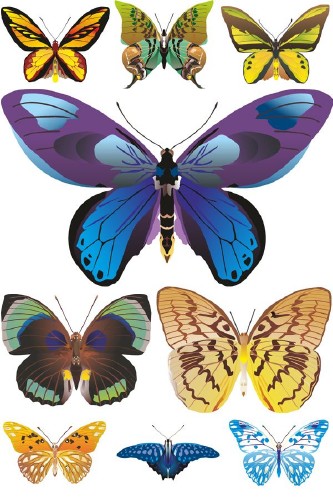 Красивые бабочки и мотыльки (подборка векторных отрисовок)