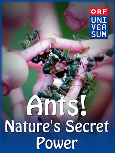 Муравьи: тайная сила природы / Ants: Natures secret power (2005) HDTV (1080i)