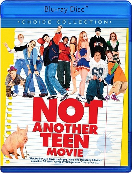 Недетское кино / Not Another Teen Movie (2001) BDRip-AVC от DoMiNo | P
