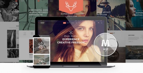 Download Nulled Moose v1.7 - Creative Multi-Purpose Theme product image