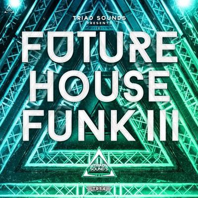 Triad Sounds Future House Funk III WAV MiDi 170630