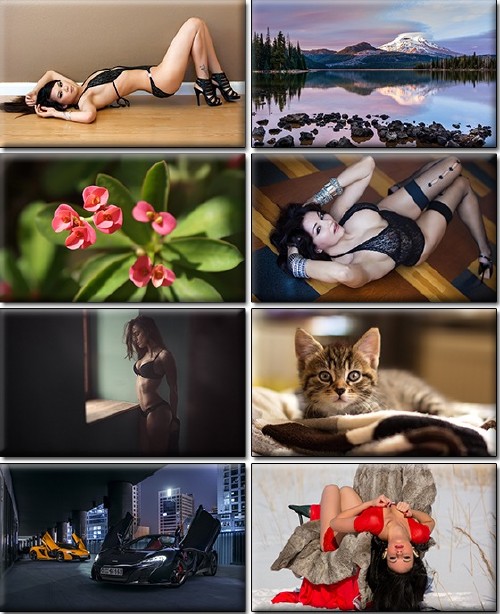 LIFEstyle News MiXture Images. Wallpapers Part (1149)