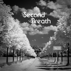 Second Breath - Unknown Bands Vol.13 (2017)