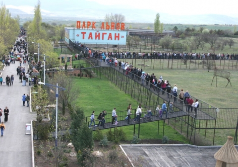 На теле погибшего в крымском сафари-парке парня остались огромные рваные раны [видео]