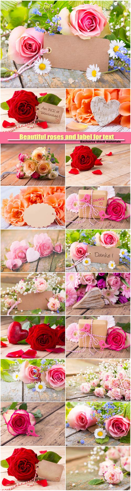 Beautiful roses and label for text