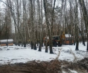 Делая капитальный ремонт парка «Совки», уничтожают деревья