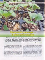  Сад, огород - кормилец и лекарь. Спецвыпуск №2 (январь 2017). Цветная капуста и брокколи    