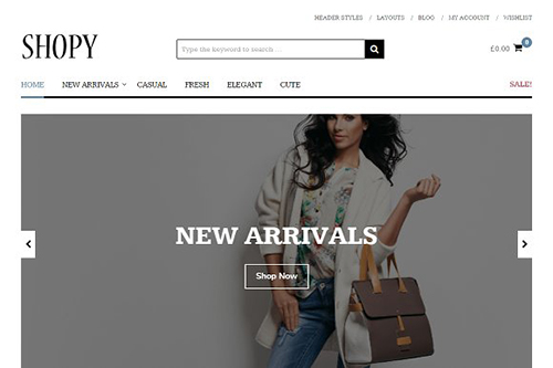 Shopy v1.0.1 - WordPress Theme - CM 935936