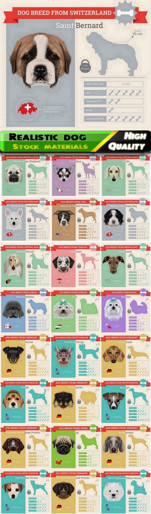 Realistic vector dog and pet illustration of different breeds 25 Eps