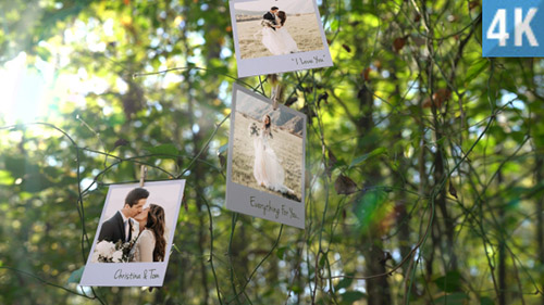 Photo Memories on Trees - Project for After Effects (Videohive)