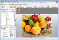 CodedColor PhotoStudio Pro 7.5.4.0 (Ml/Rus) Portable