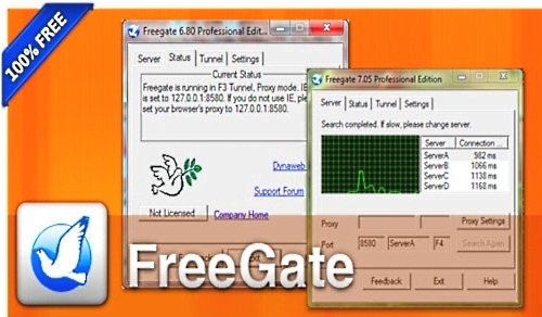 FreeGate Professional 7.62 Portable