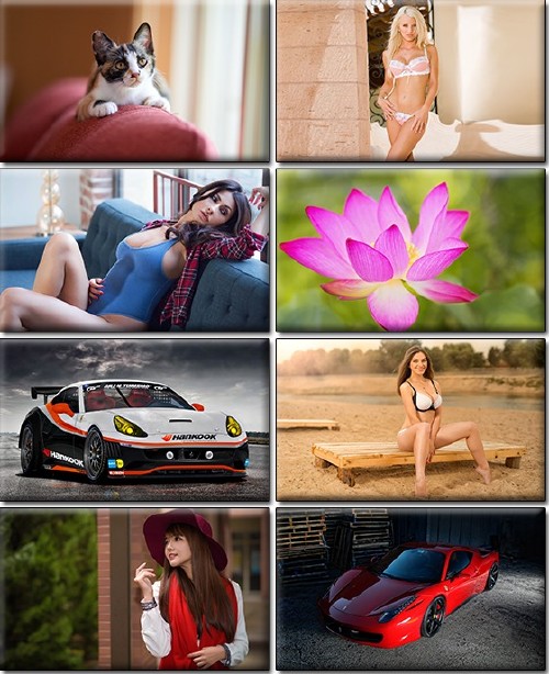 LIFEstyle News MiXture Images. Wallpapers Part (1172)