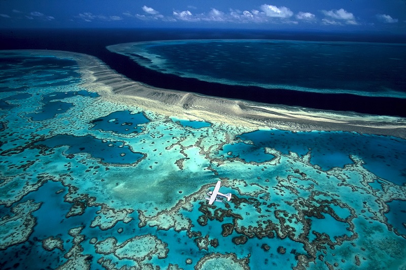 Возвышенная температура грозится Большущему Барьерному рифу