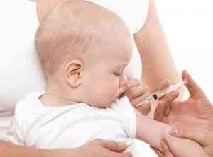 Необходимые прививки грудничкам, детям до года: график