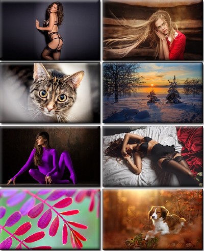 LIFEstyle News MiXture Images. Wallpapers Part (1177)