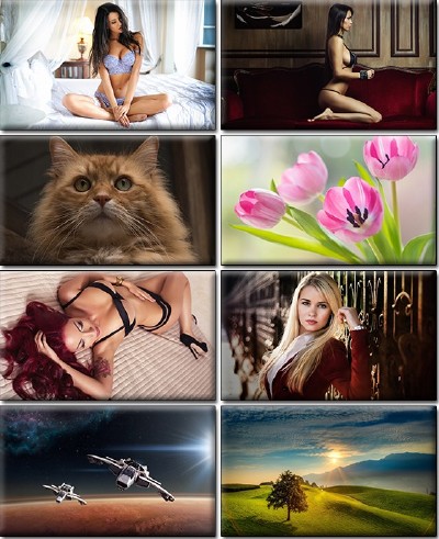 LIFEstyle News MiXture Images. Wallpapers Part (1179)