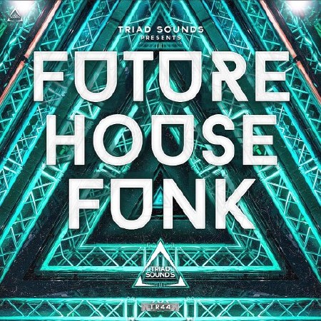 Future House Reality Funk (2017)