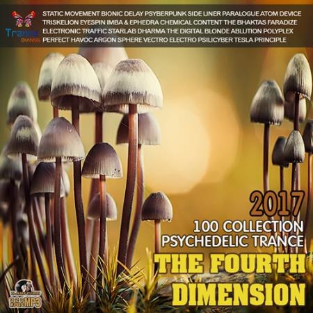 The Fourth Dimension: Psy Trance (2017)