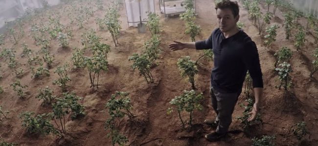 Перуанские ученые взлелеяли картофель в «марсоподобных» условиях