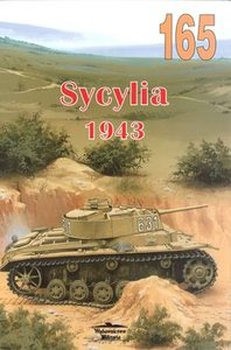 Sycylia 1943 (Wydawnictwo Militaria 165)