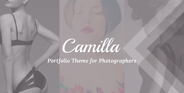 Nulled ThemeForest - Camilla v2.2.2 - Horizontal Fullscreen Photography Theme!