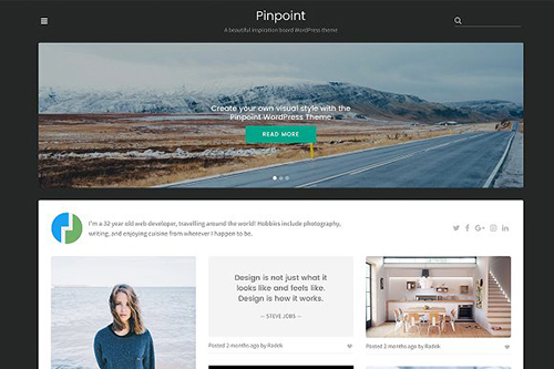 Pinpoint v1.0.0 - WordPress Theme - CM 1425153