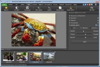 NCH PhotoPad Image Editor Pro 3.07 (Ml/Rus) Portable