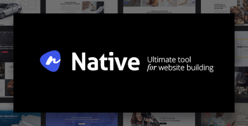 [GET] Nulled Native v1.0.5 - Powerful Startup Development Tool - WordPress Theme product graphic