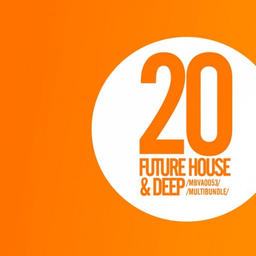 VA - 20 Future House and Deep Multibundle (2017)