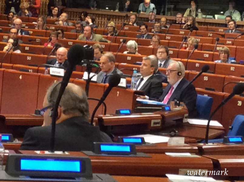 Постійна делегація Верховної Ради в Парламентській Асамблеї Ради Європи продемонструвала власну активну позицію щодо візиту Президента асамблеї П. Аргамунта до Сирії