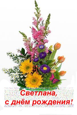 http://i90.fastpic.ru/big/2017/0114/23/fa822f8c18929ff9feecb562ed4b3823.jpeg