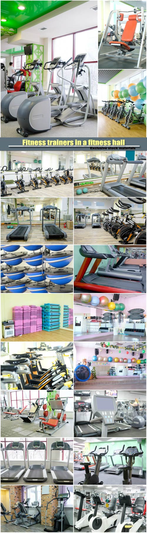 Fitness trainers in a fitness hall