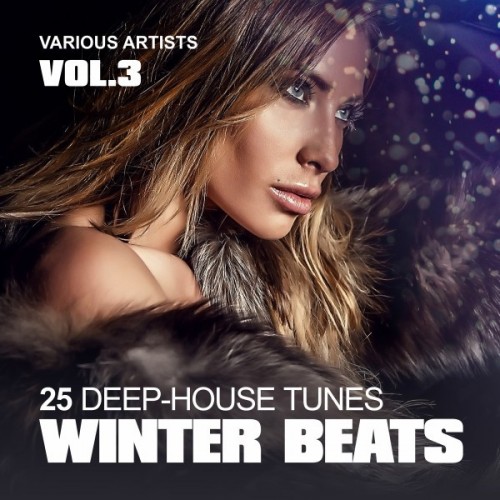 VA - Winter Beats: 25 Deep-House Tunes Vol.3 (2017)