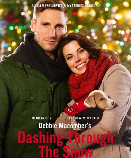 Поездка в Сиэттл / Debbie Macomber's Dashing Through the Snow (2015) HDTVRip