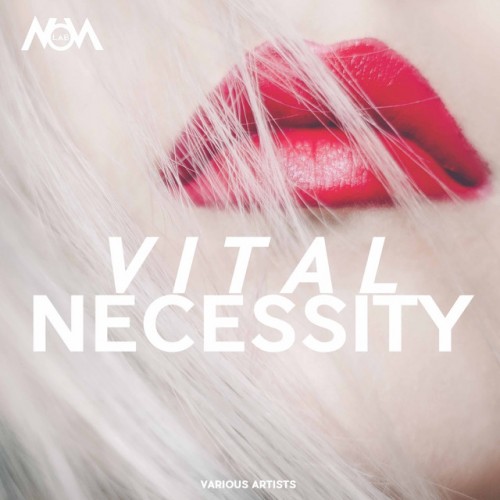 VA - Vital Necessity (2017)