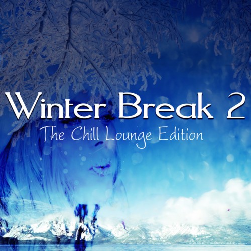 VA - Winter Break 2: The Chill Lounge Edition (2017)
