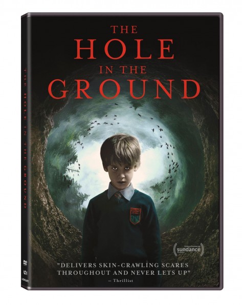 The Hole In The Ground 2019 1080p BluRay x265-RARBG