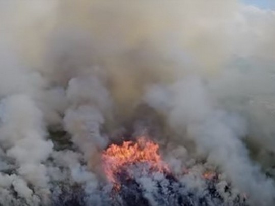 Земля в жаре: масштабный пожар в Харькове освободили с высоты(видео)