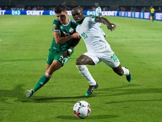 Сенегал – Алжир: где смотреть финал Кубка африканских наций