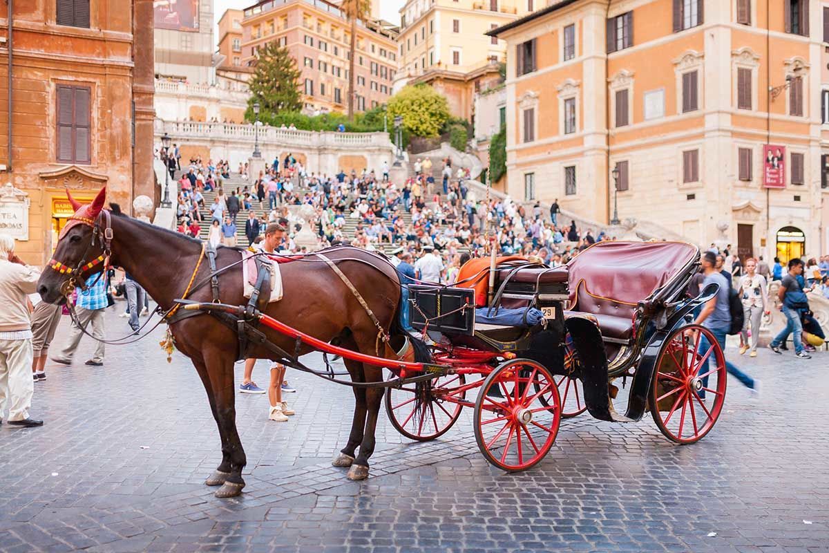 В Риме запрещают конные повозки «боттичелле»