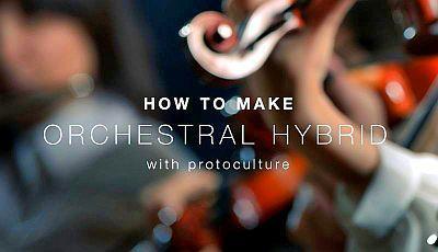 How To Make Orchestral Hybrid with Protoculture (2019)