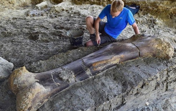 Ученые заявили о найденной кости крупнейшего зверя в истории
