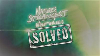 LLC - Natures Strangest Mysteries Solved Series 1 Part 22: Elephants in the Room (2019) 720p HDTV x264 AAC MVGroup