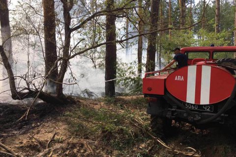 В Херсонской области пламенело пять гектаров леса