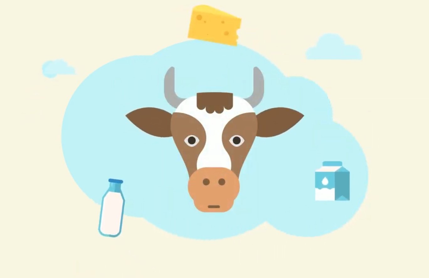 Вісті з Полтави - Що потрібно знати про якість та безпечність коров’ячого молока для його виробництва?( анімація)