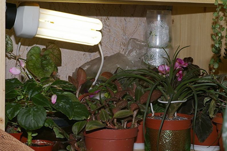 Лампы для растений (70 фото) виды, как выбрать