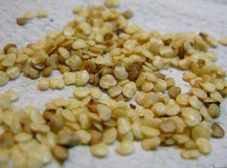 Как вырастить баклажаны из семян в домашних условиях на рассаду