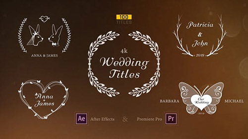 Wedding Titles 23506580 - After Effects & Premiere Pro Templates (Videohive)